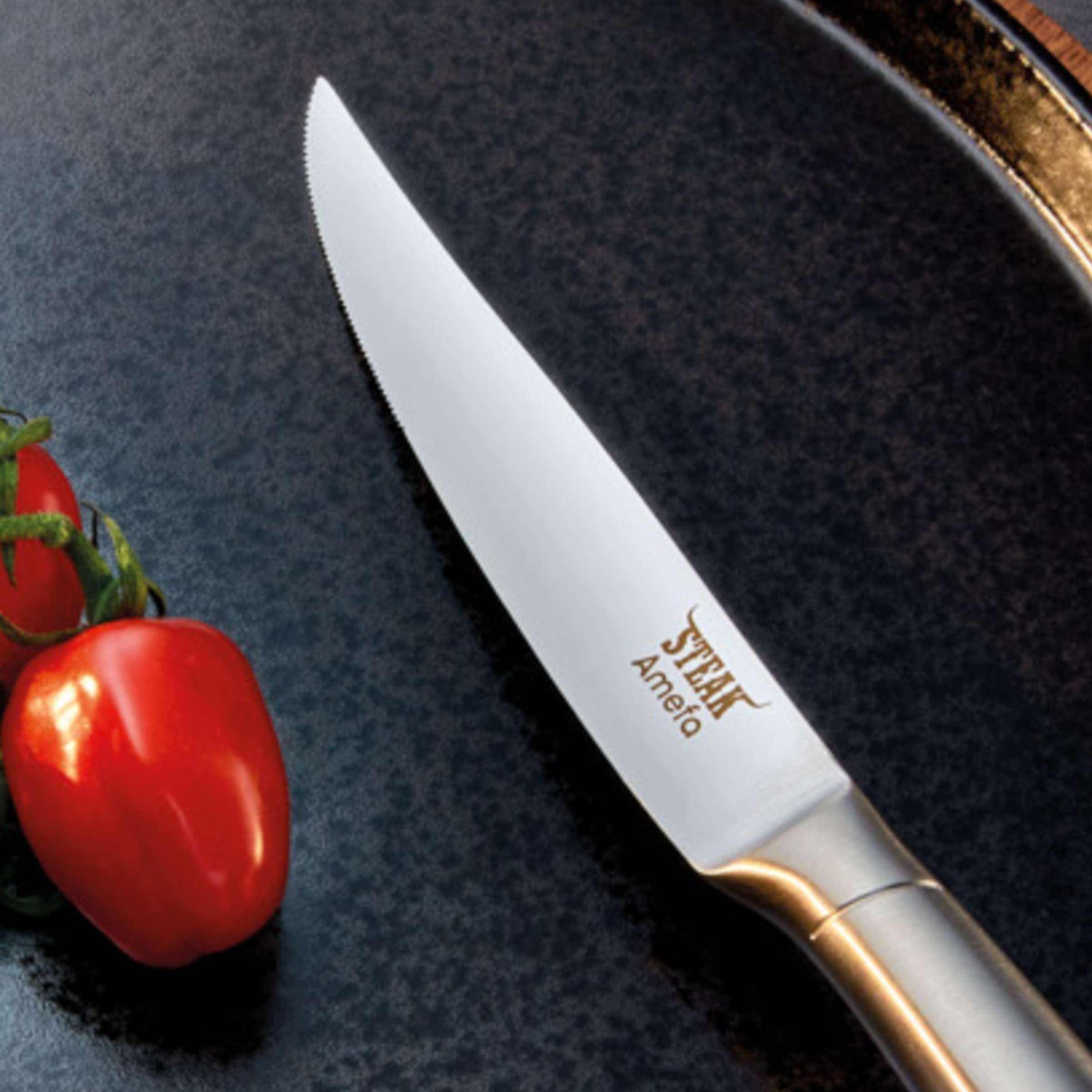 PRIME RIB Steakmesser Set 2-teilig