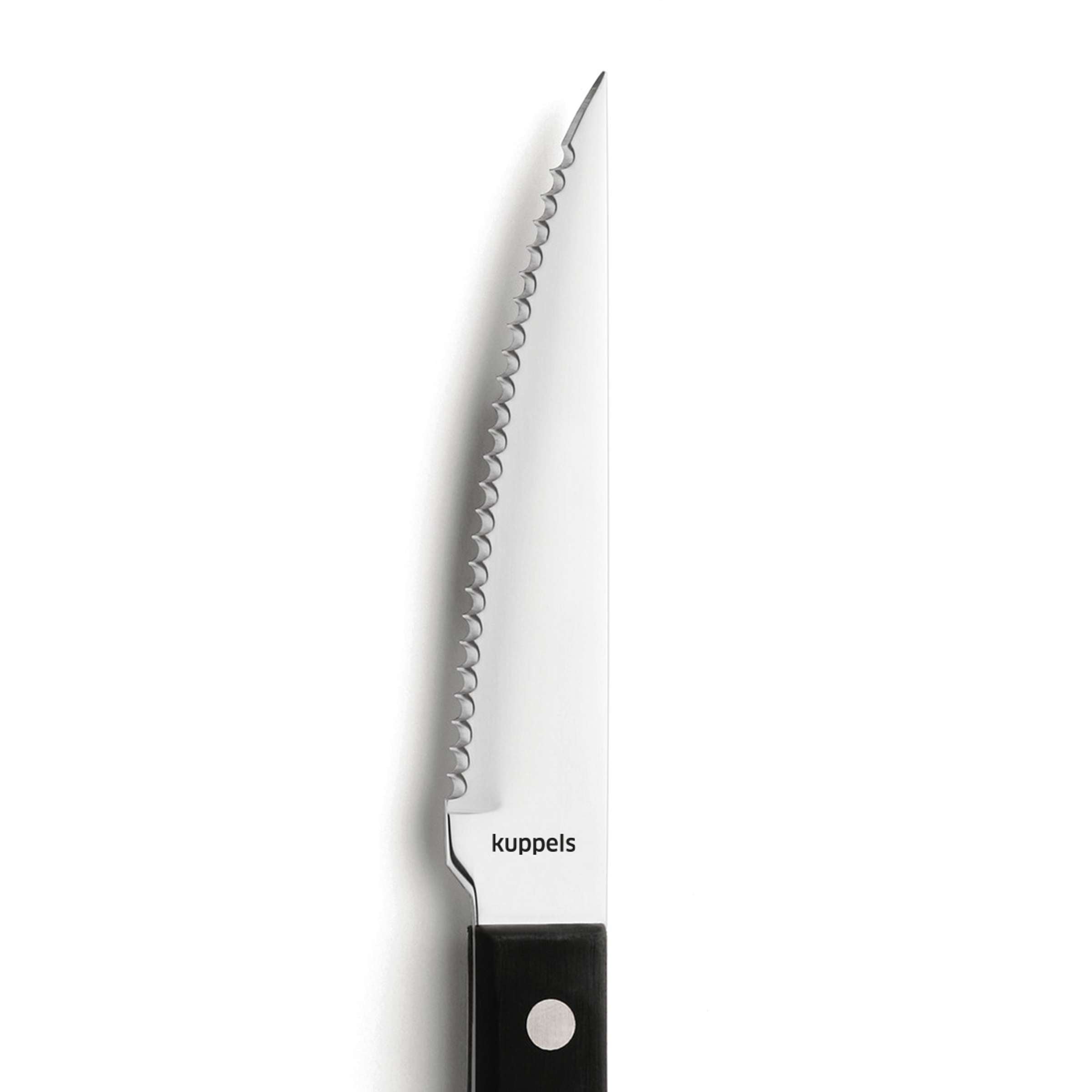 FILET Steakmesser Set 6-teilig schwarz